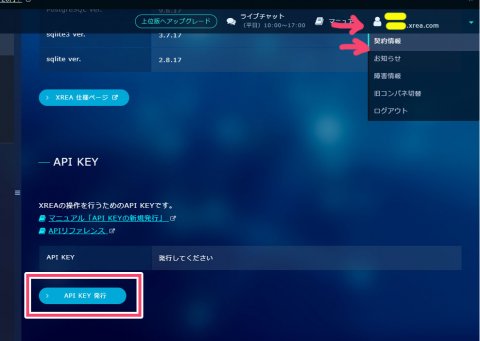 API KEY