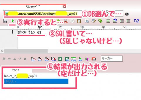 A5 - SQL実行