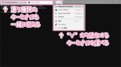 ターミナルを併用