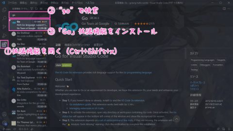 Go拡張機能のインストール