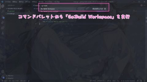 VSCode で go build の実行