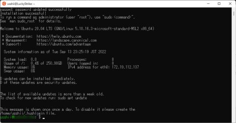 Ubuntuのインストール完了