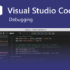Debugging in Visual Studio Code